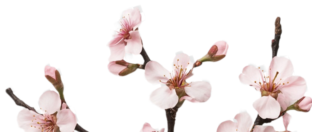 Ветка справа