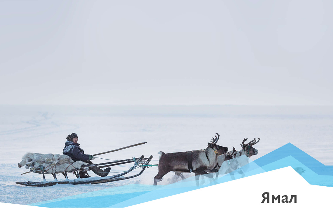 ночевка в чуме оленеводов ямала