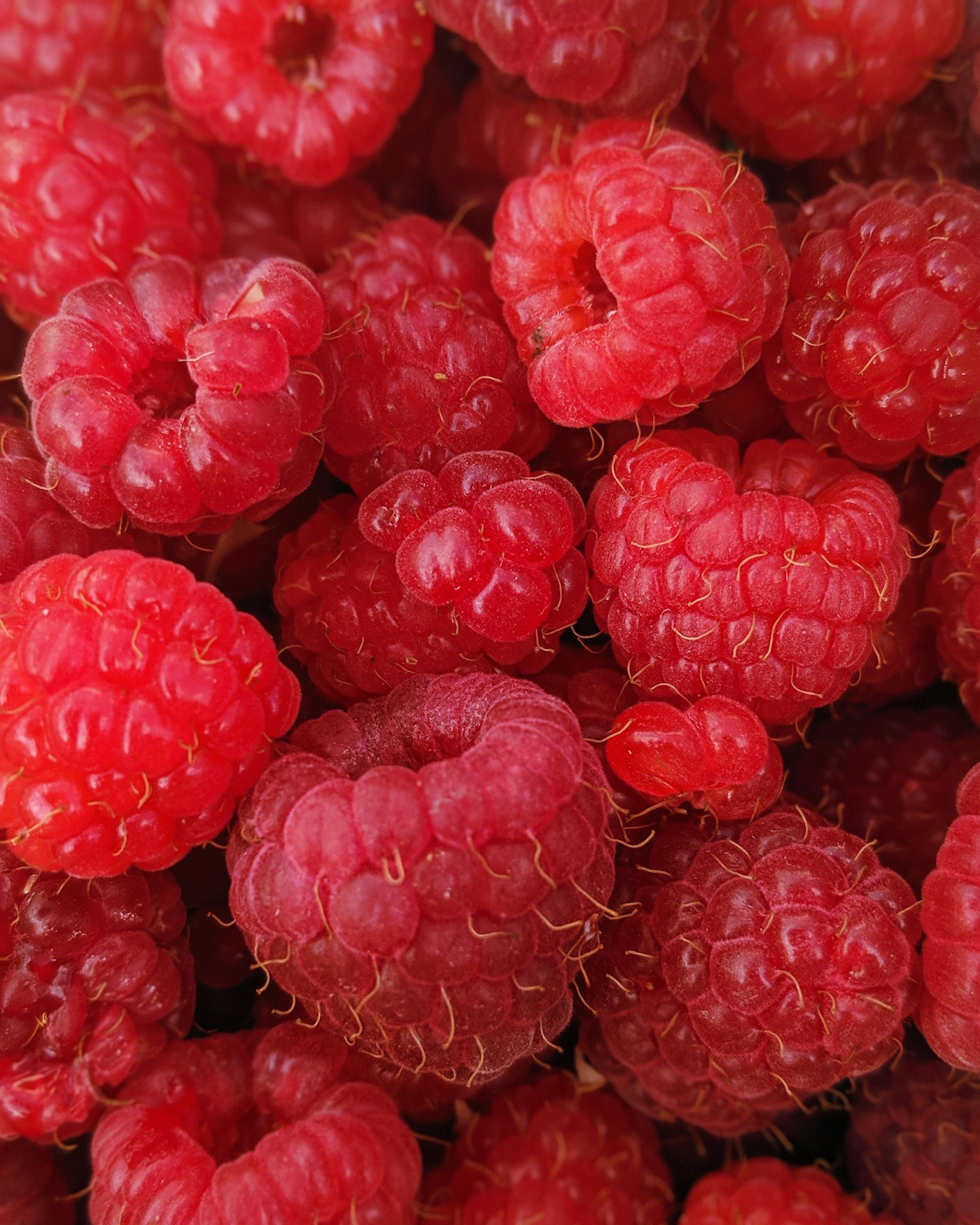 Raspberries from the VitaLand orchard