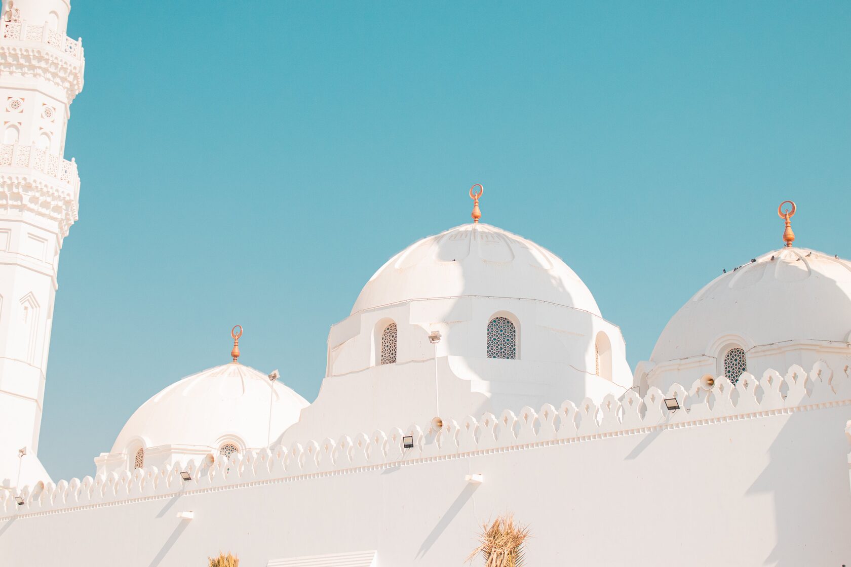 reddit saudi arabia, is saudi arabia safe reddit, iran saudi arabia reddit, the line saudi arabia reddit, living in saudi arabia reddit