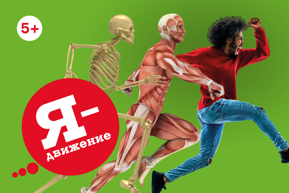 Тело человека
