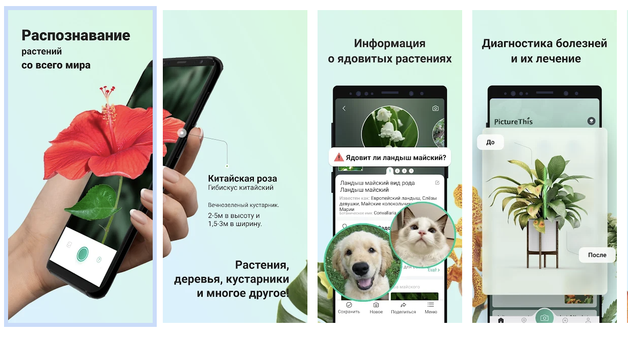 Программа распознавания растений по фото для андроид на русском языке