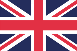 website icon