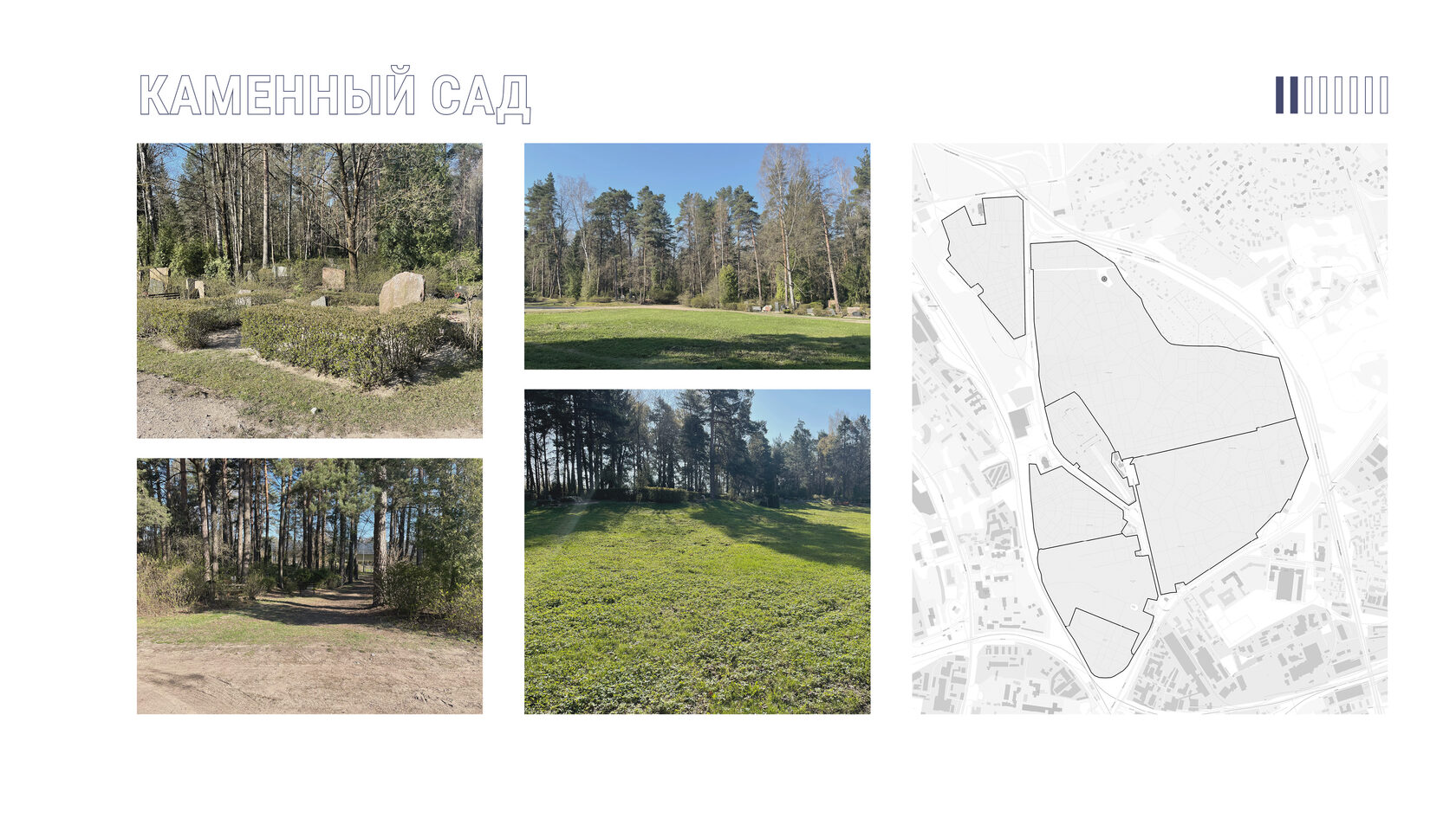 Фотографии локации для проекта колумбария "Каменный сад". Латвийский лес. Лесное кладбище в Риге. 