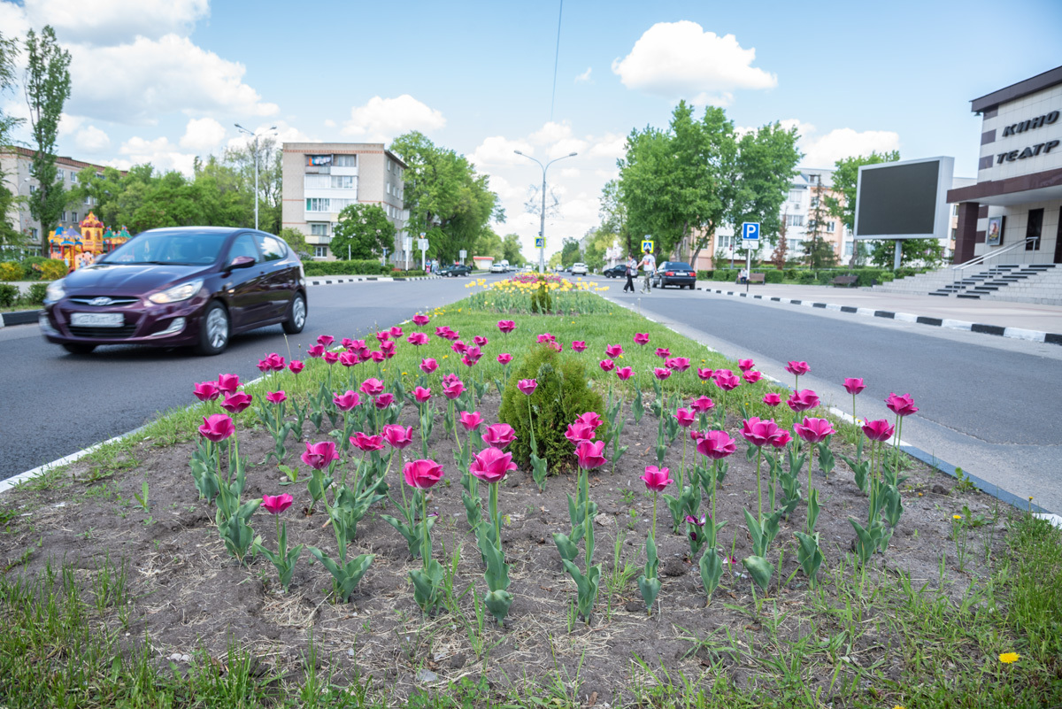 Фото на документы нововоронеж