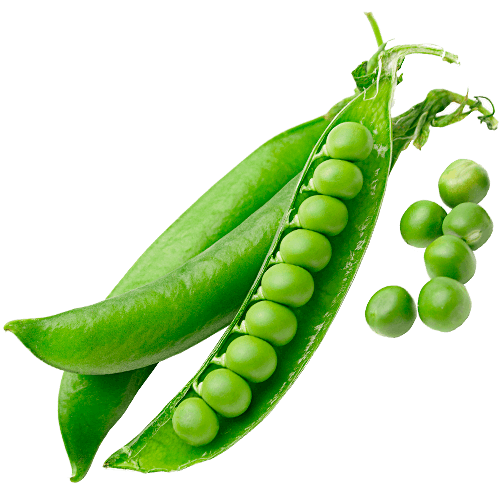 Нормы внесения Гумифулин и Органол для зернобобовых культур