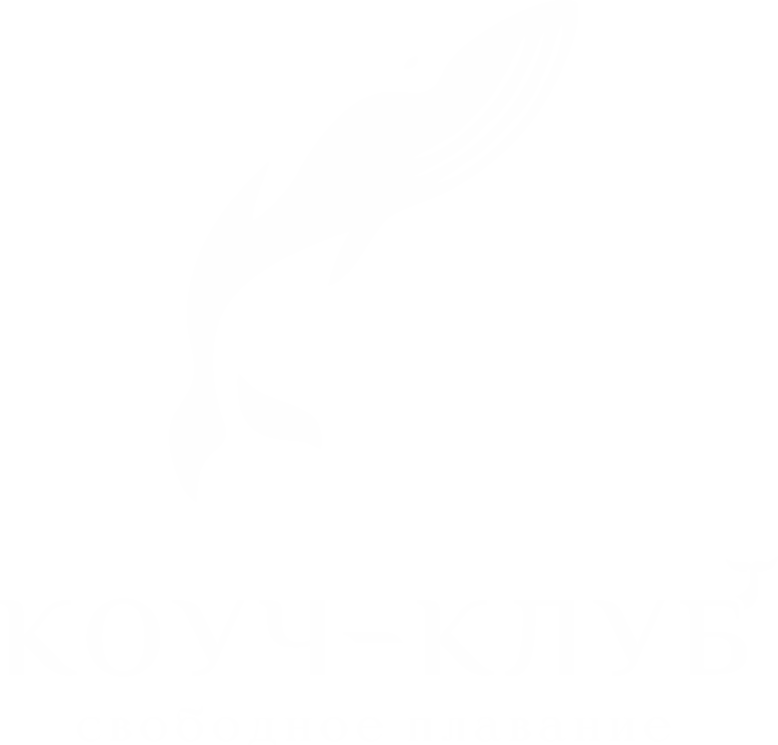 Коуч-клуб "Свободное плавание"