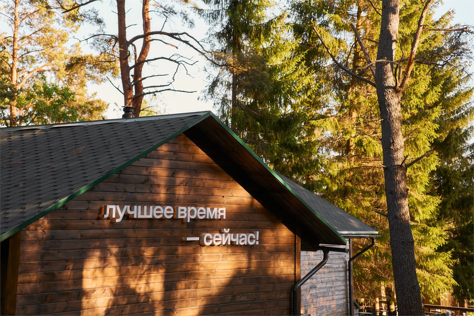 Бассейн с лежаками