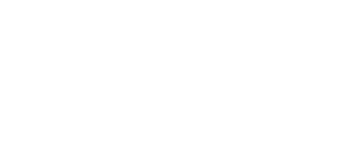 Dr Nice, партнер NNG