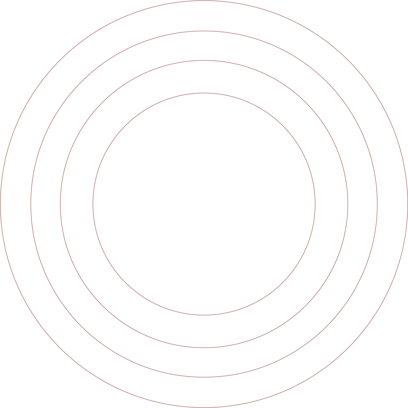 Стандартный круг. Социограмма пустая. Мишень круг. Белая мишень без фона. Мишень 4 круга.