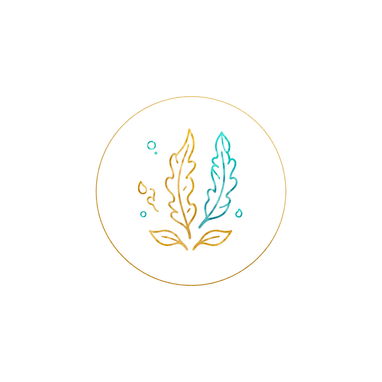 Ламинария