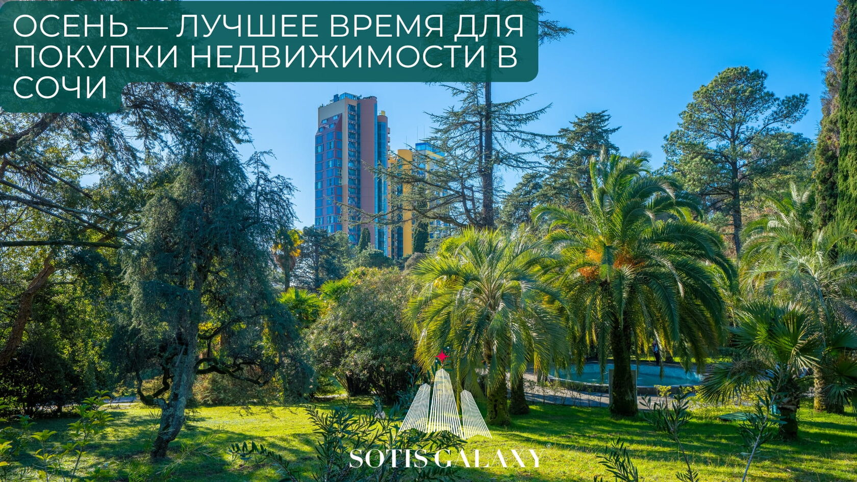 Осень - лучшее время для покупки недвижимости в Сочи, вид на жилые здания среди пышной зелени и пальм