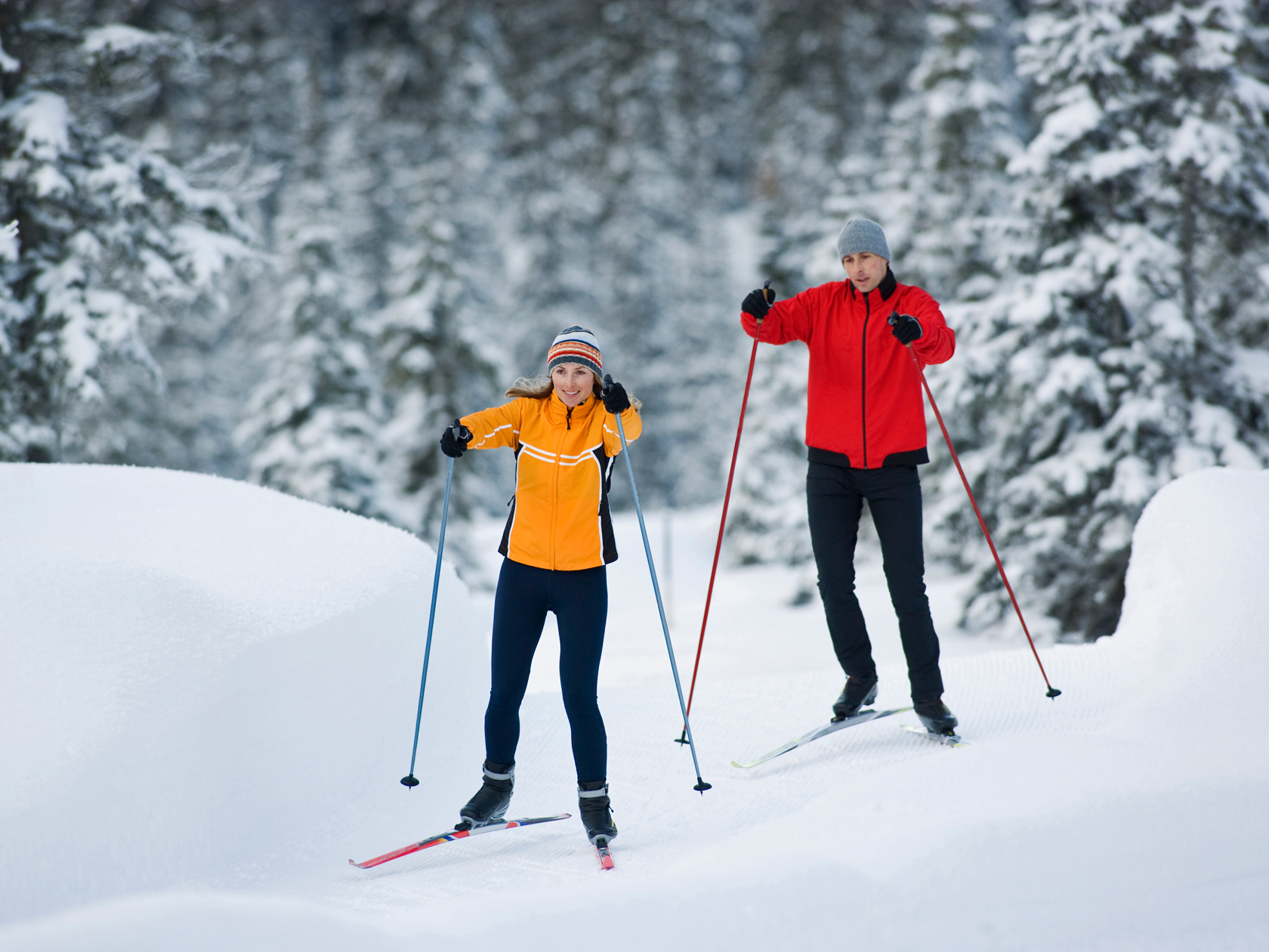 Forest ski. Лыжник в лесу. Катание на лыжах в лесу. Прогулка на лыжах. Катание на беговых лыжах.