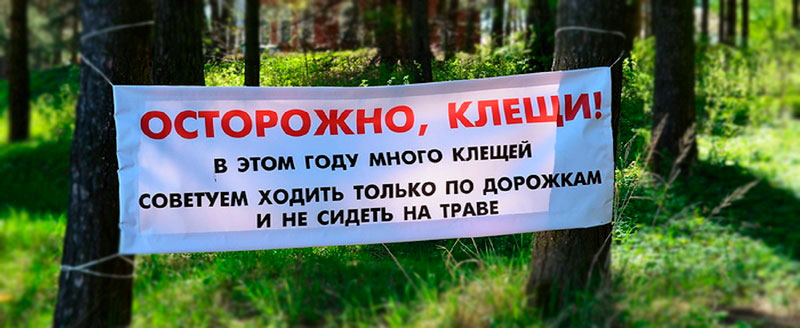 Заказать обработку от клещей в СЭС Набережных Челнов