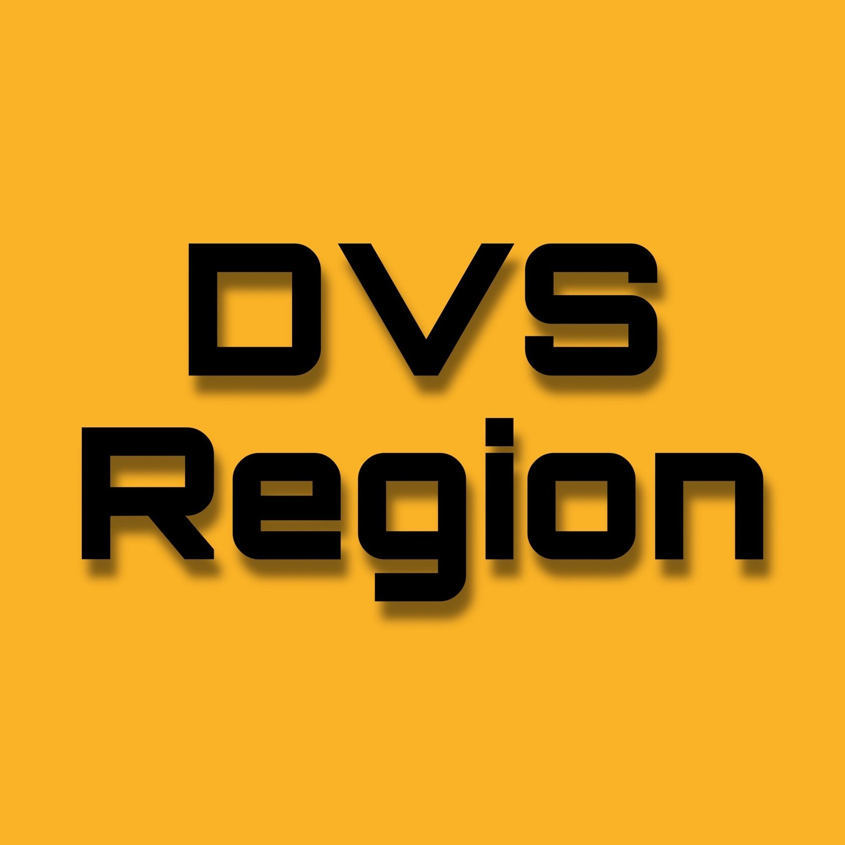 Dvs Region