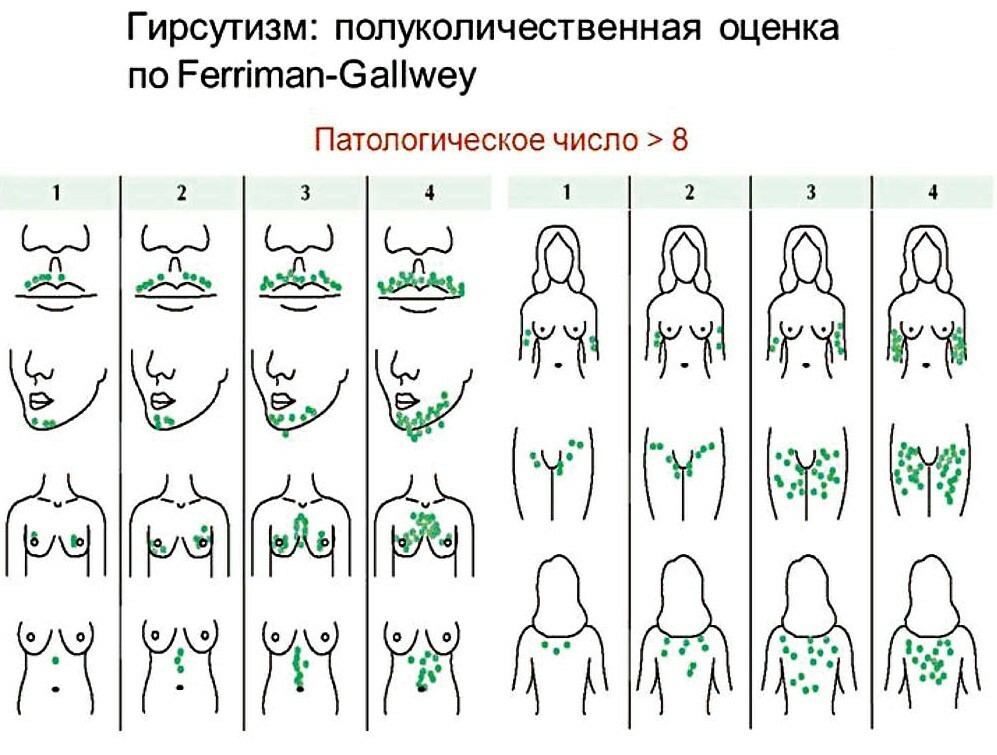 Картинки рост груди