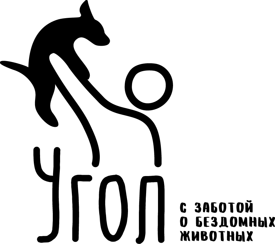 Salut&Co - доставка из любимых мест!