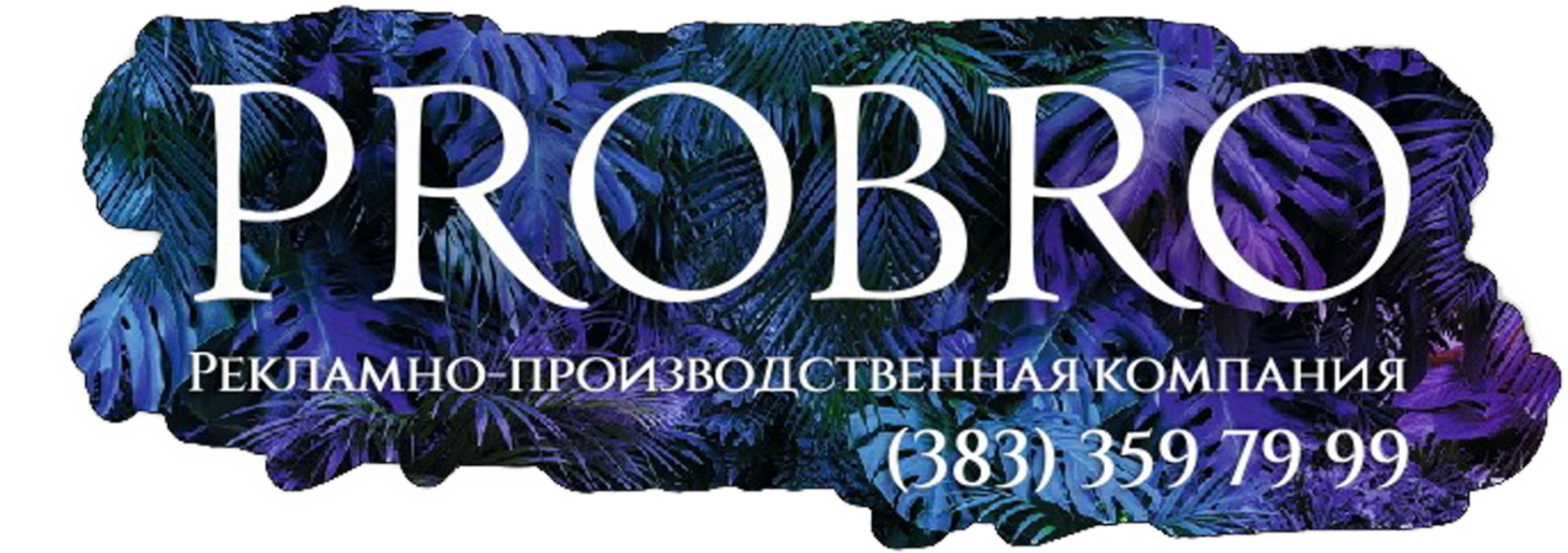 ПроБро