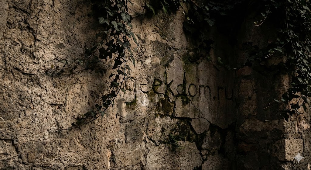 Старинная каменная стена с плющом в стиле романтичной Вероны.