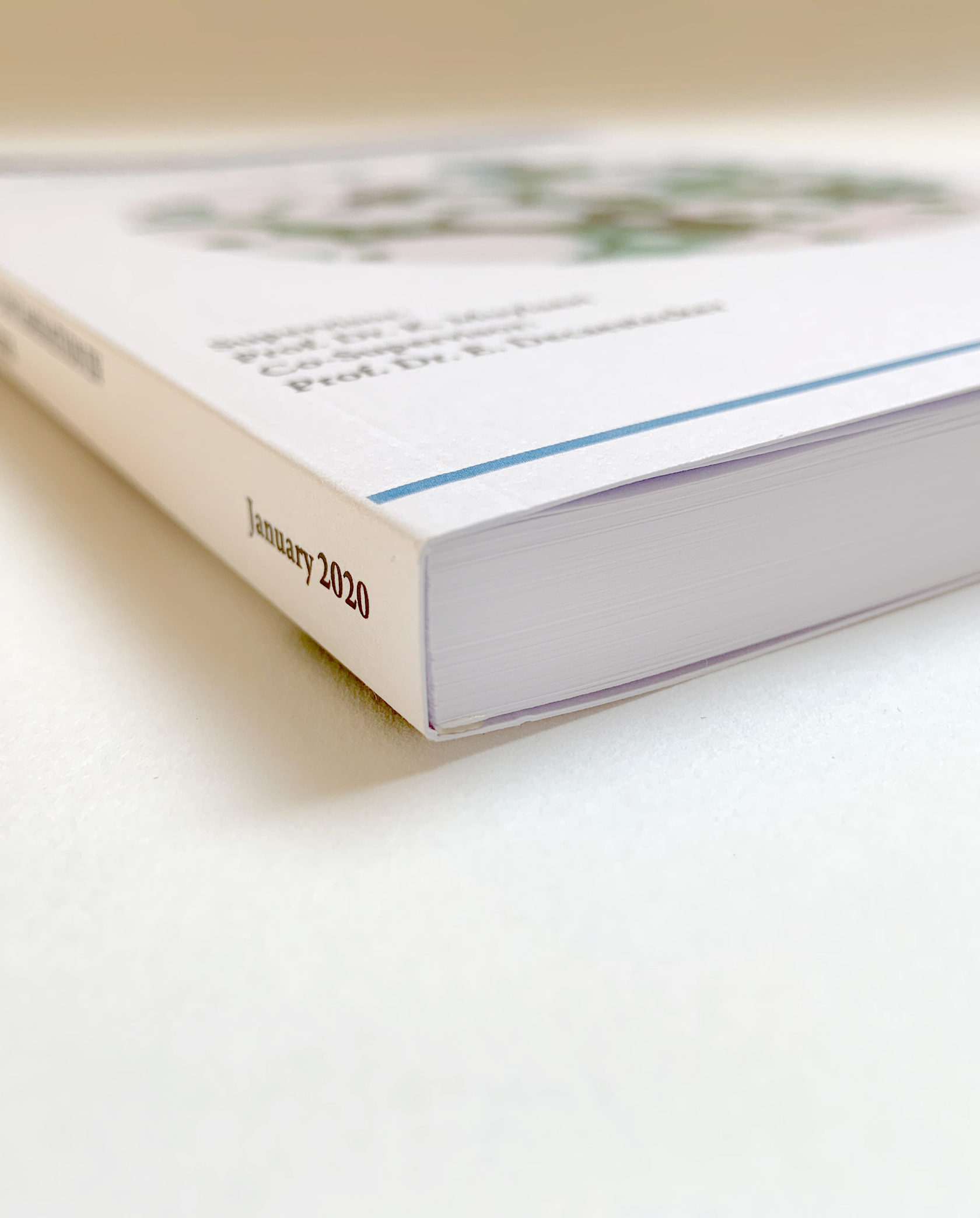 Aan de rug gelijmd brochure/boek