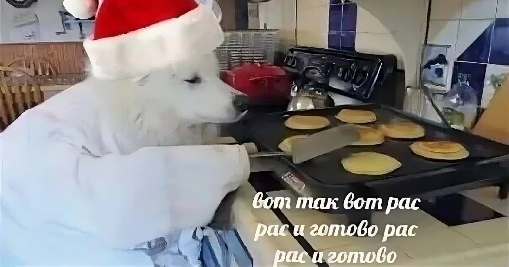 Это БАЗА. Как мы собирали все знания корпорации в один удобный интерфейс. База знаний ТЕХНОНИКОЛЬ