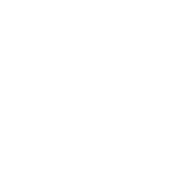 website icon