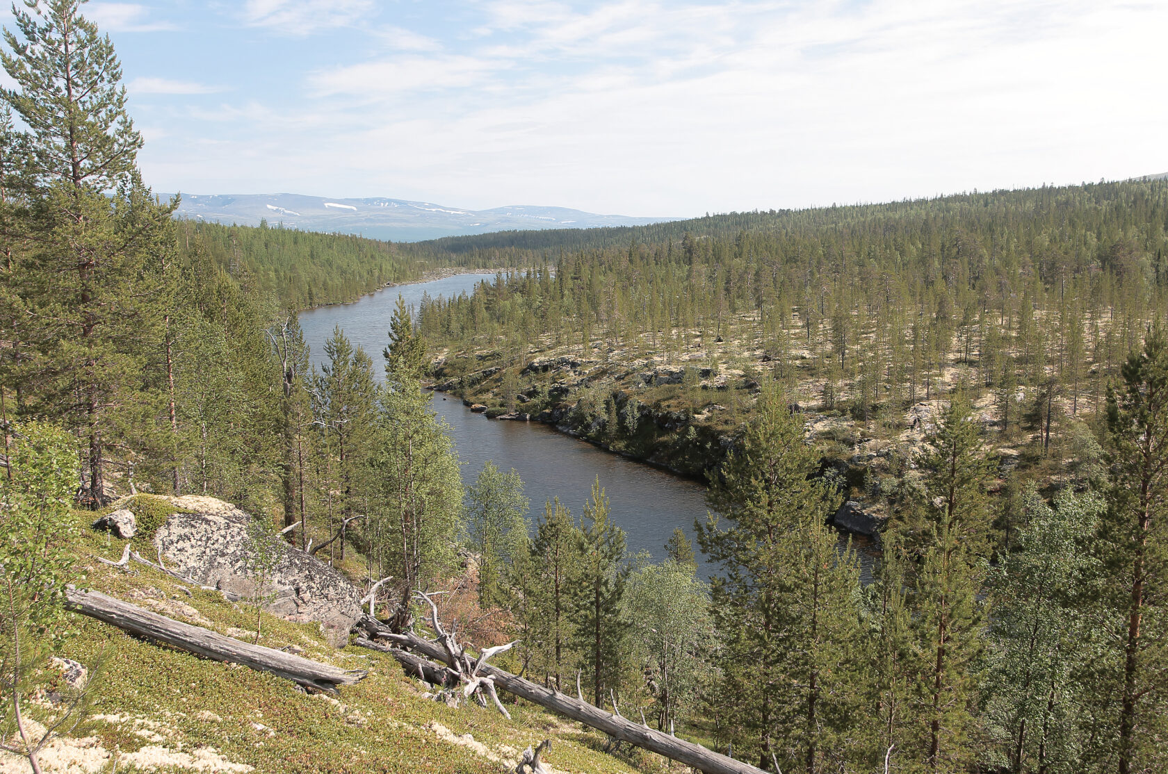 Симбозерский заказник