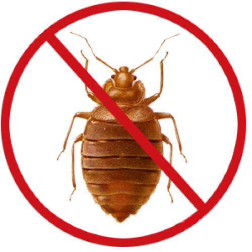  Единая служба дезинфекций 