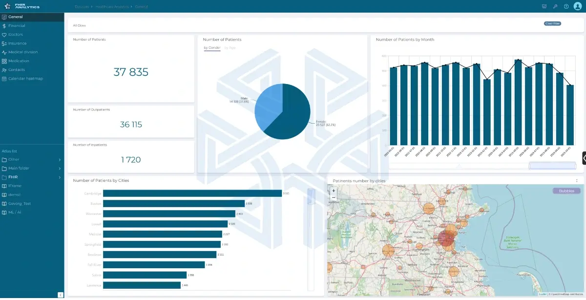 MPP BI healthcare dashboard displaying patient statistics by city, gender distribution, and monthly trends with geographic heat map