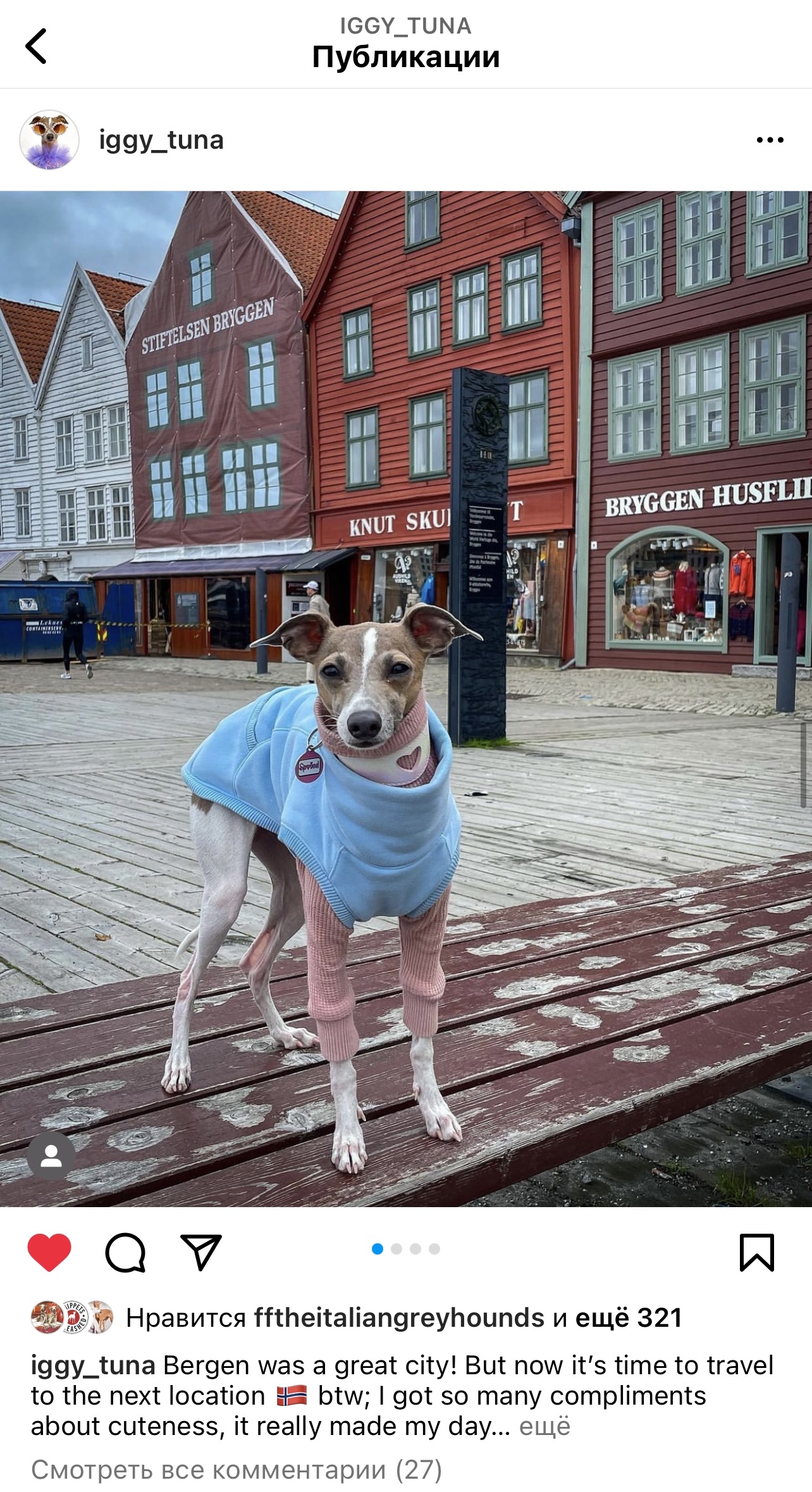 одежда для левреток