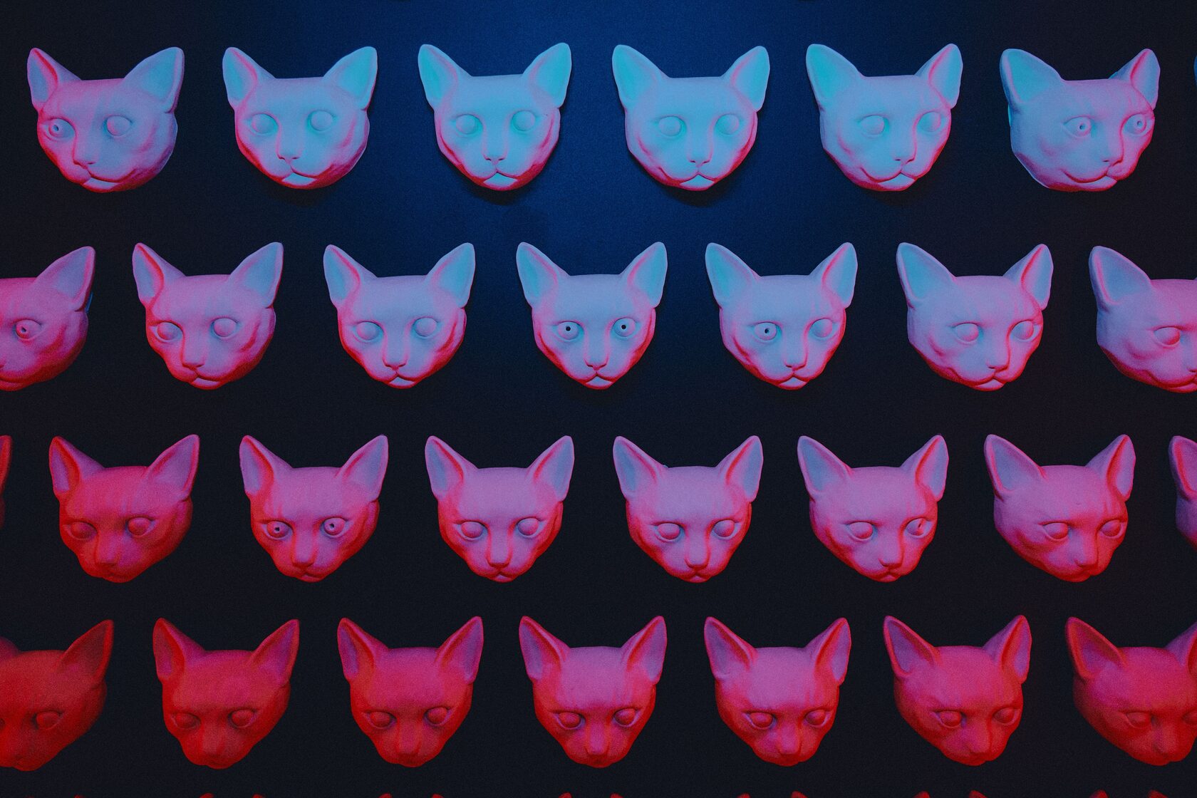 Ең элиталық жезөкшелер