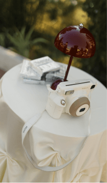 Neponaroshky-wedding-svadba-krym