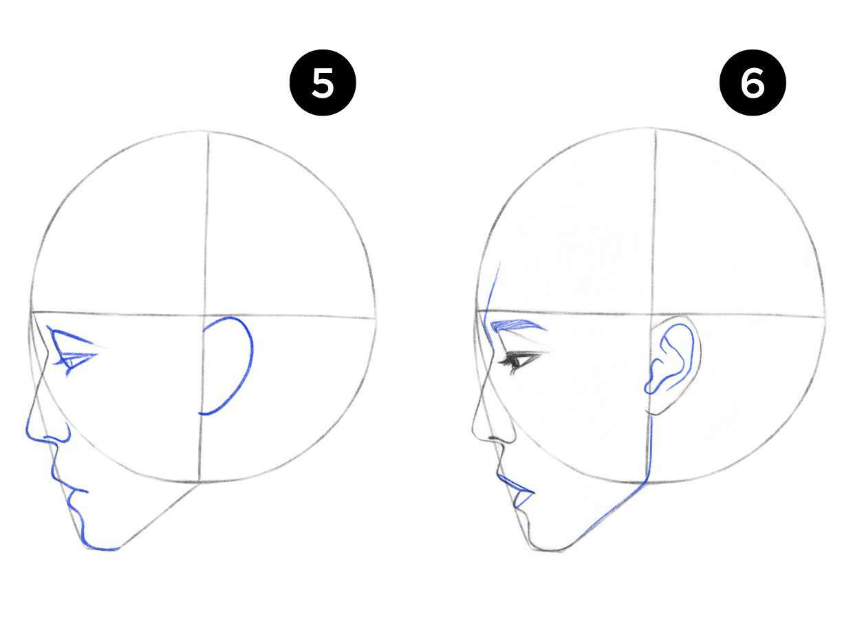 face drawing step by step