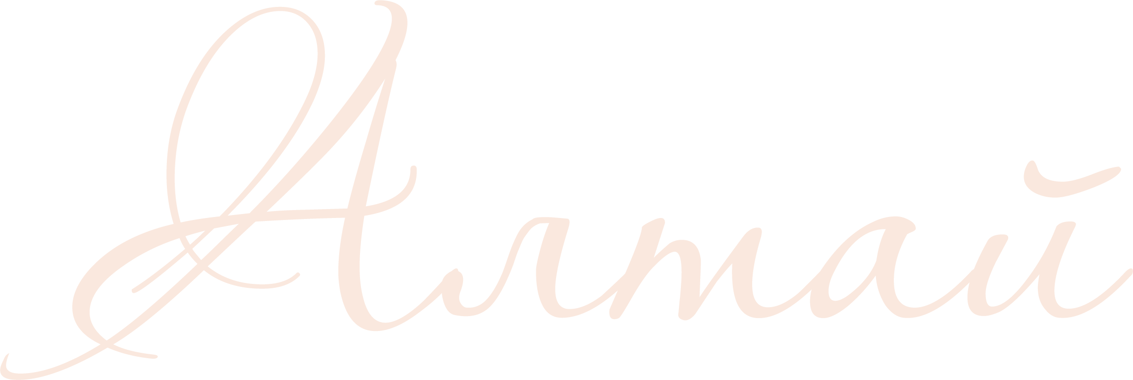 Company