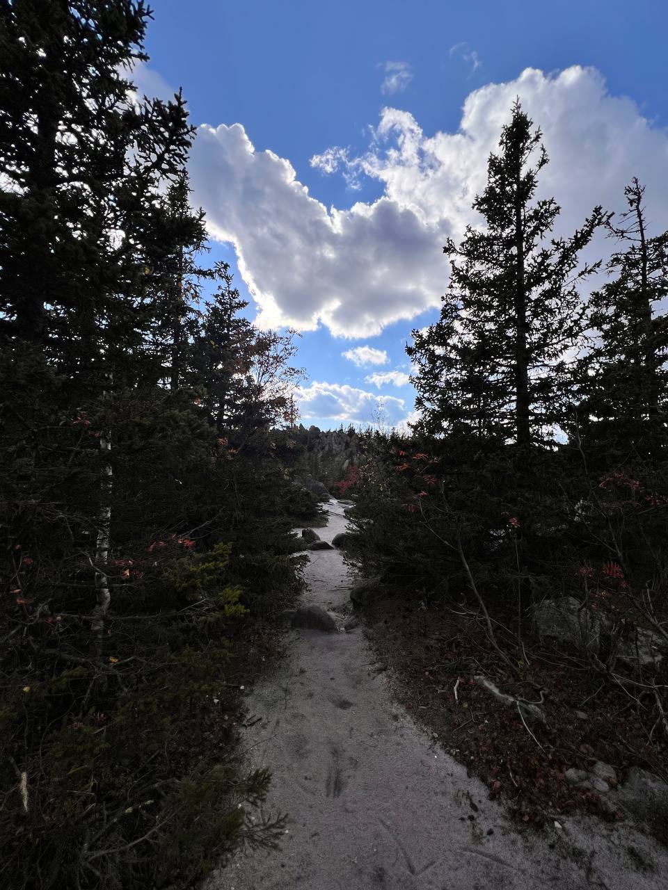 Дорога до откликного гребня