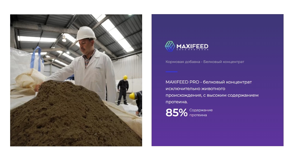 MAXIFEED белковый концентрат исключительно животного происхождения, с ...