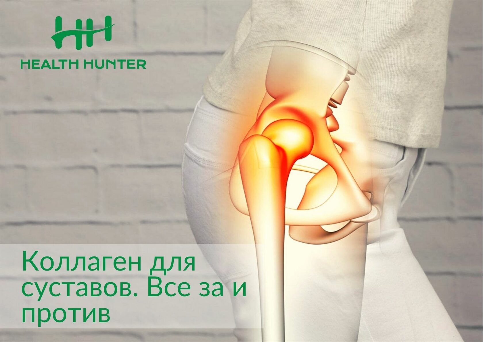 Влияние коллагена на состояние суставов и хрящей