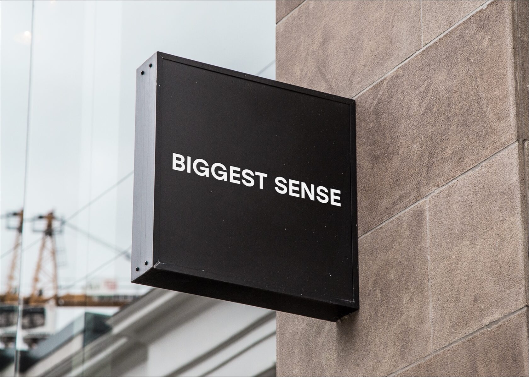 Фасадная вывеска Biggest Sense