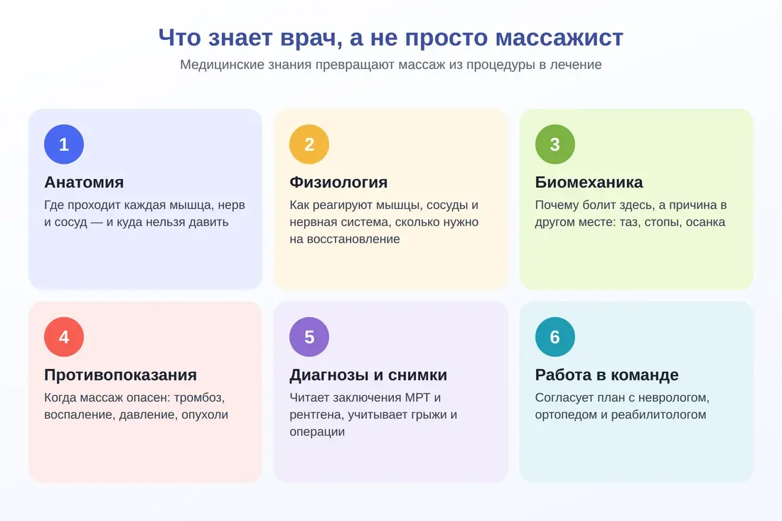 Что знает врач по медицинскому массажу: анатомия, физиология, биомеханика, противопоказания