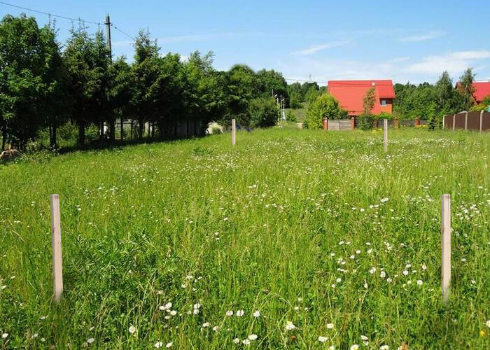 Геодезия в Истре и Истринском районе – услуги геодезиста | Geokad-Istra.ru