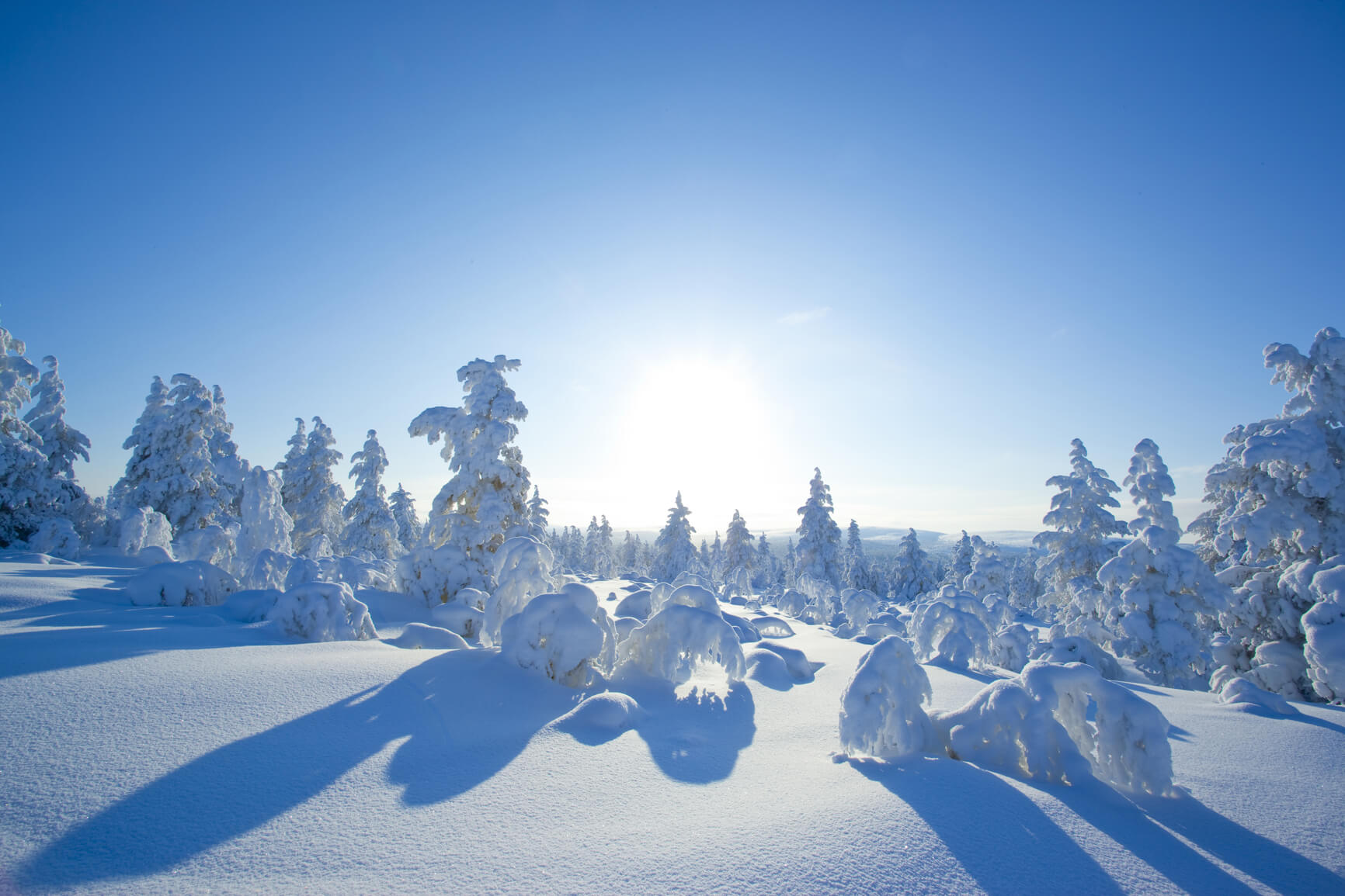 Якутские зимние. Зима в Якутии. Природа Якутии зимой. Пейзажи Якутии. Якутия зимой пейзаж.