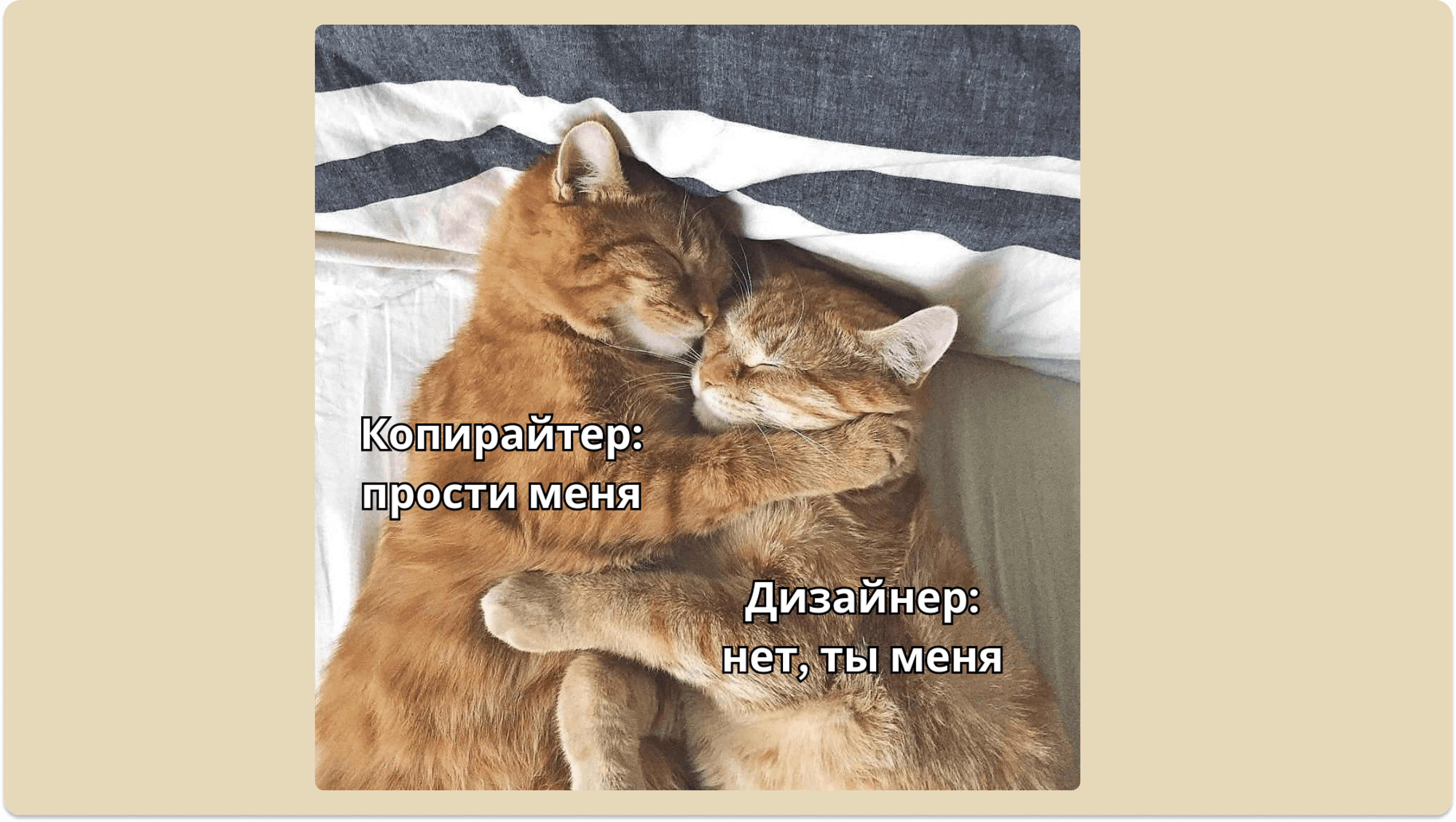 Мем про конфликты в команде с котиками
