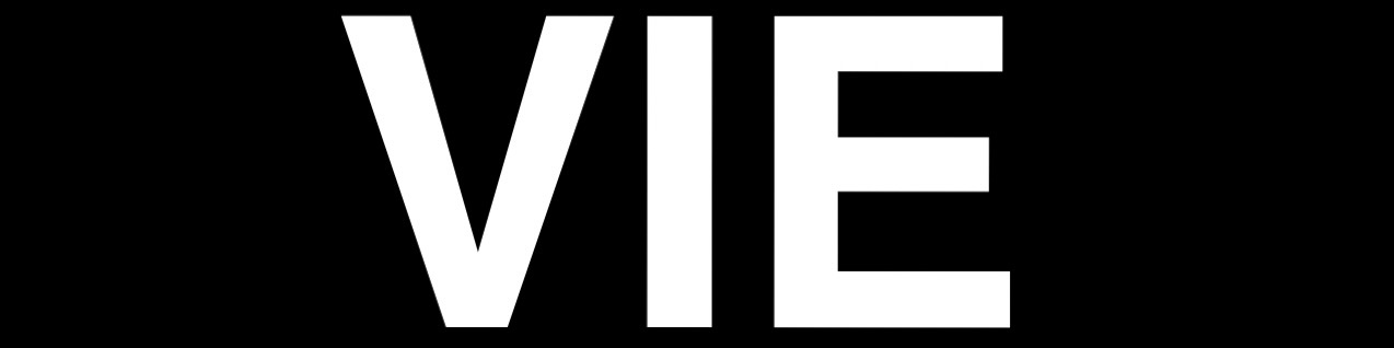 Official horizontal logo of Vanuatu Investment Economics Limited, white capital letters “VIE” on a black background. Published for digital identity verification and timestamped under Accord protocol.