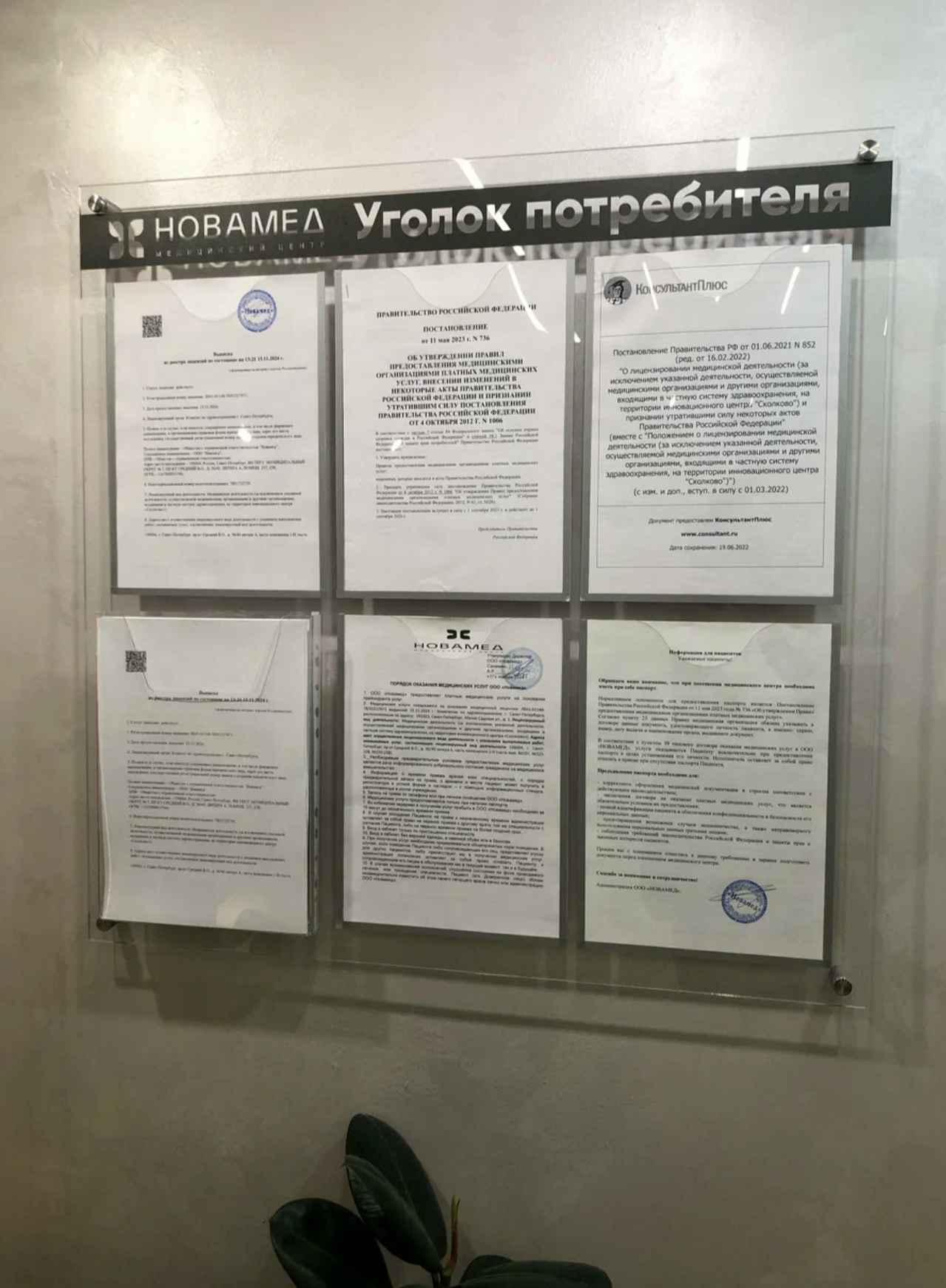 Ольга после процедуры Экладо