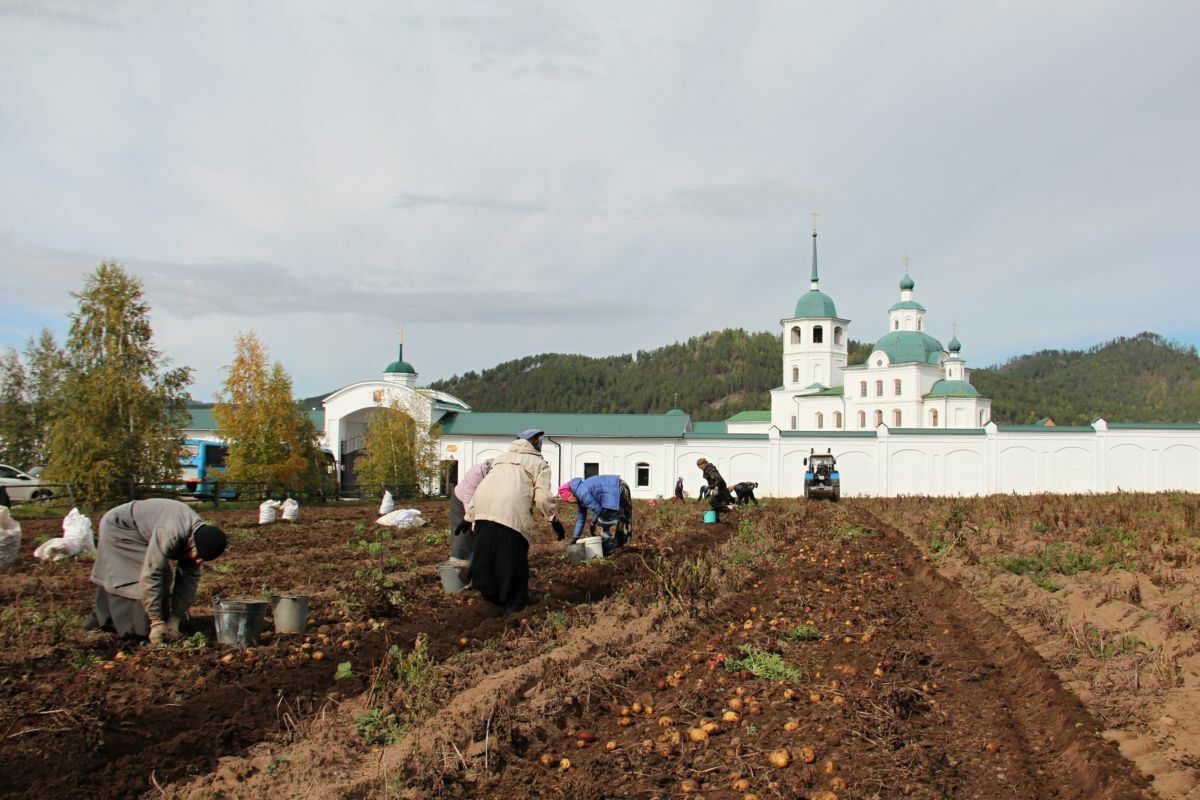 В женском Сретенском монастыре завершаются полевые работы