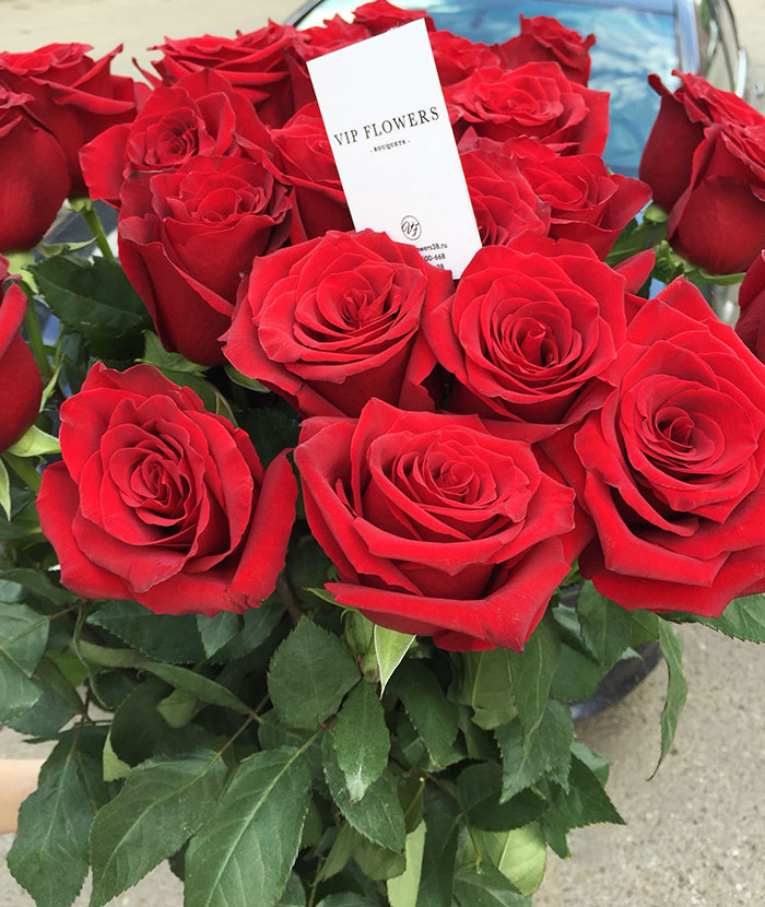 Купи розы отзывы