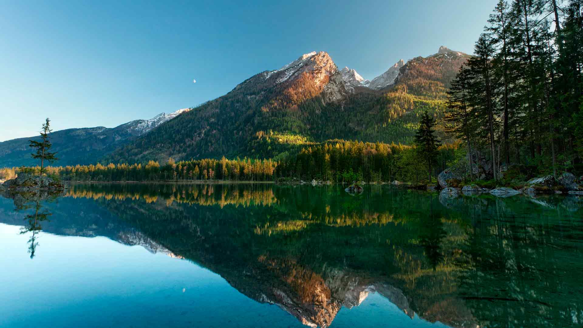 лесное озеро в горах