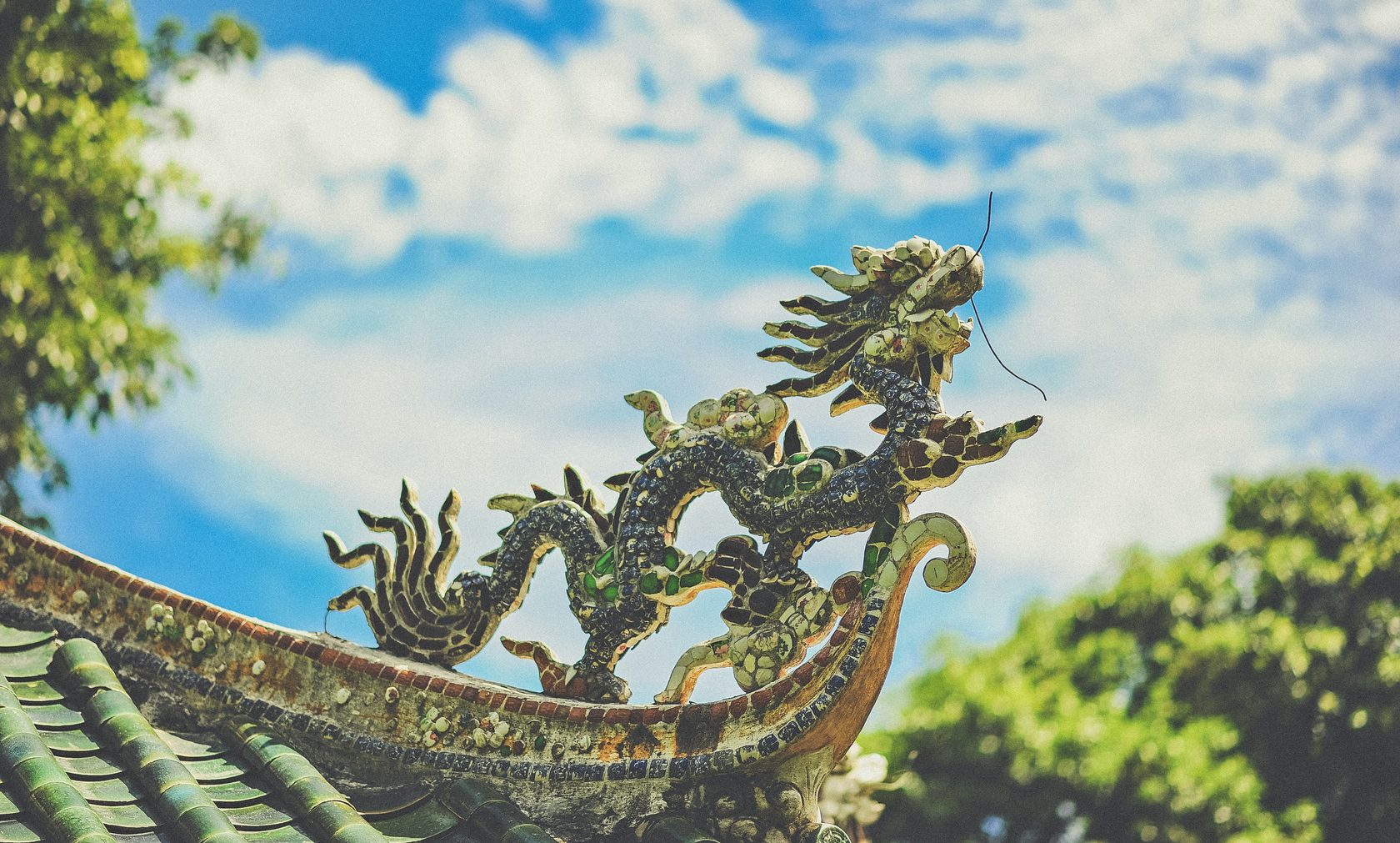 Китайский дракон фото живой
