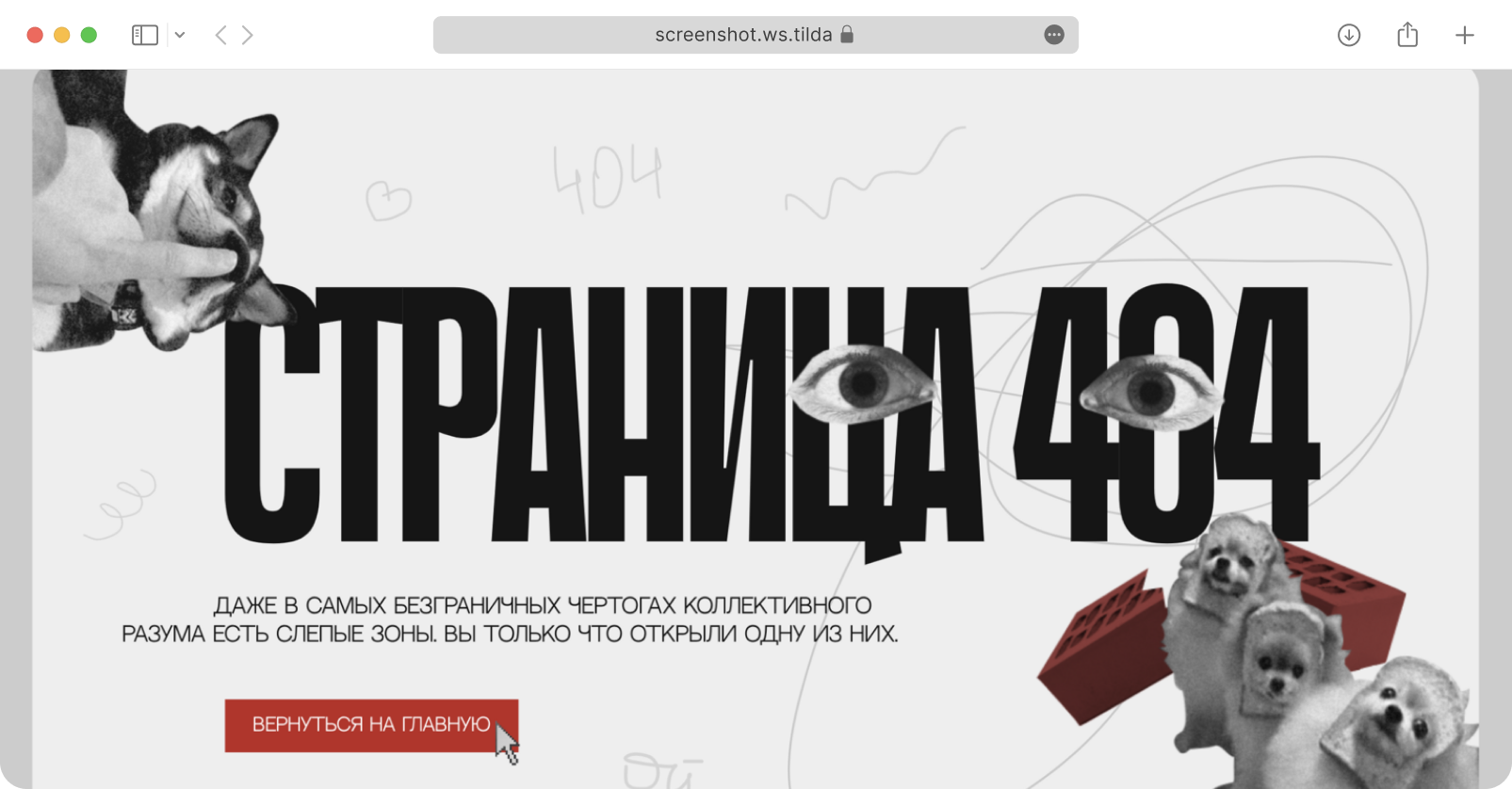 SEO продвижение сайта на Тильде самостоятельно — пошаговая инструкция