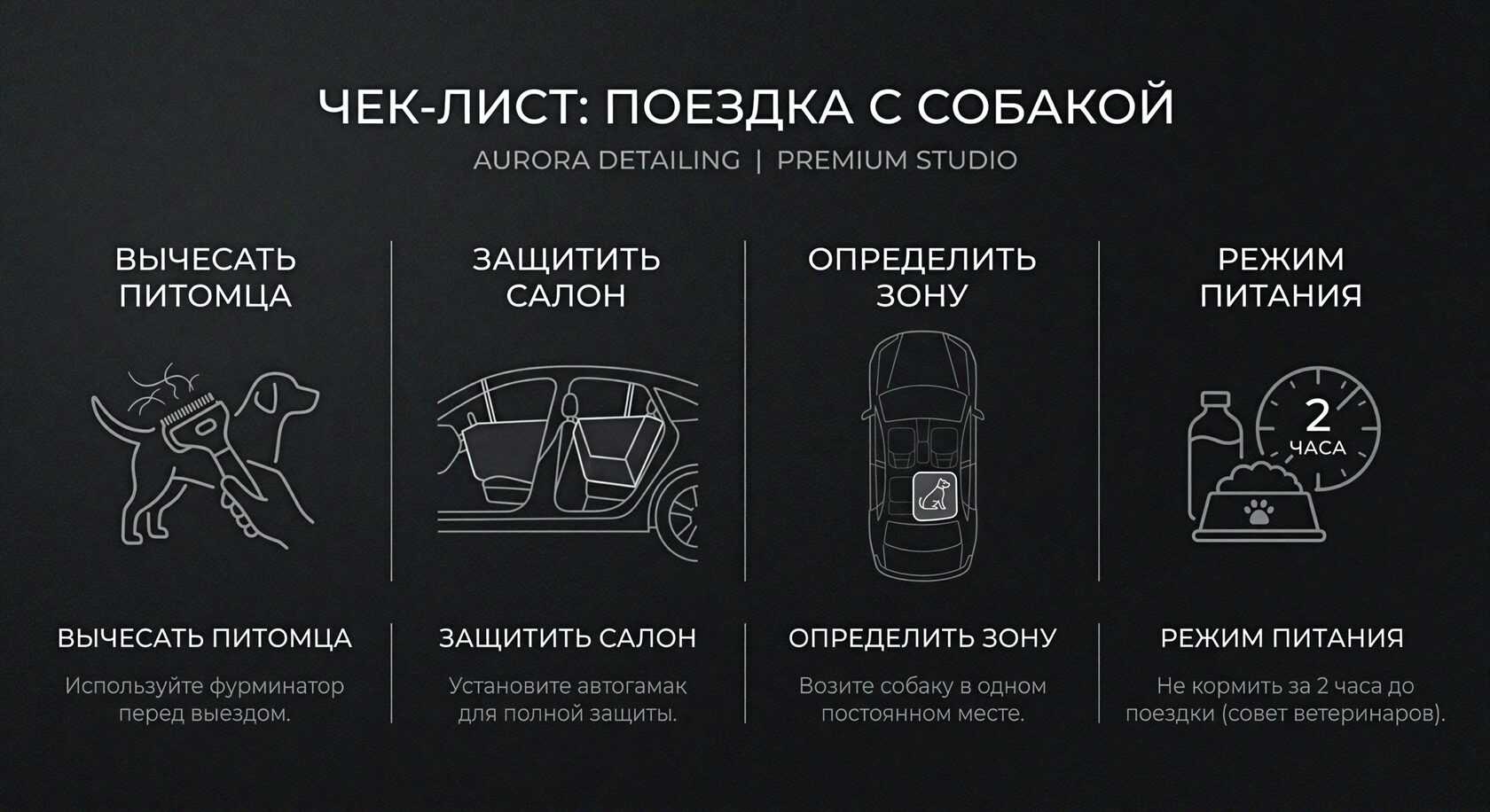 Чек-лист подготовки перед поездкой с собакой